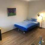 Calm Spacy Room, Own Modern Bath, Near Center, To 1 Person Or A Couple - Not Suitable For Craftsmen, Not Accepted - Privatly Rented